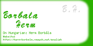borbala herm business card